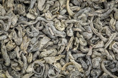 Genç hyson yeşil çay arka plan