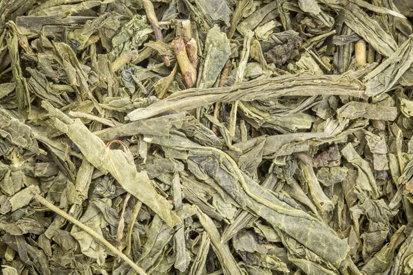 Sencha 绿茶背景 — 图库照片