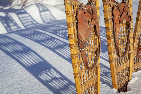 Vintage Bear Paw snowshoes abstract — Stock Photo, Image