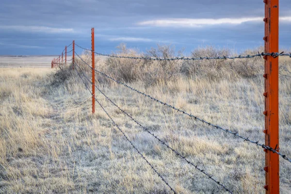 Barbed wire fence in Pawnee Grassland — Stock Photo, Image