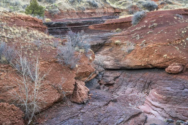 Arroyo seco en las estribaciones de Colorado en primavera — Foto de Stock