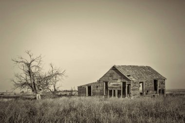 çayır üzerinde eski homestead