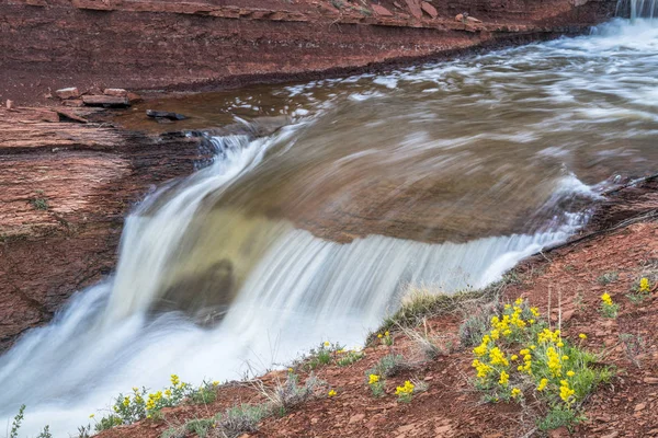 Creek with waterfalls at Colorado foothills — Stock Photo, Image