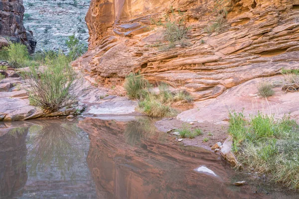 Basen z wodą w kanionie Hunter w Utah — Zdjęcie stockowe