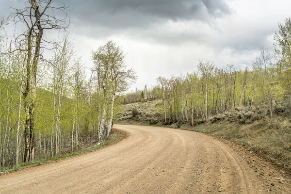 Back country road with aspen grove — стоковое фото