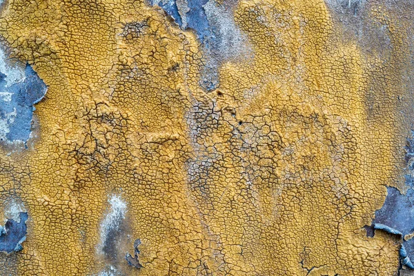 Лишайник на металлической текстуре бака — стоковое фото