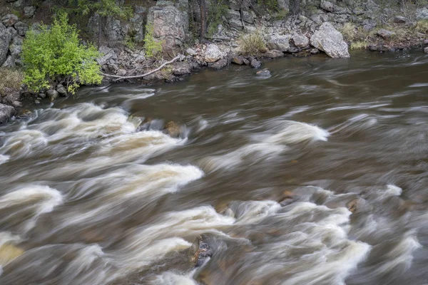 rapid on the Cache la Poudre River