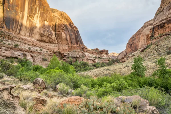 Piaskowiec Kanion w pobliżu Moab, Utah — Zdjęcie stockowe