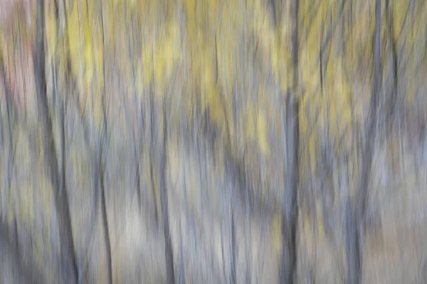 Nature motion blur abstract — Stock Photo, Image