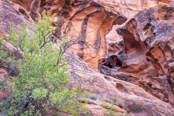 Rotsformatie in Hunter Canyon in Utah — Stockfoto