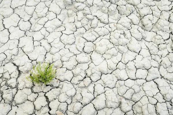 Dry and cracked desert soil backgroiund — Stock Photo, Image