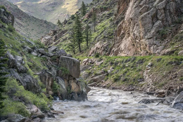 Odpływ wiosną rzeki Poudre w Colorado — Zdjęcie stockowe