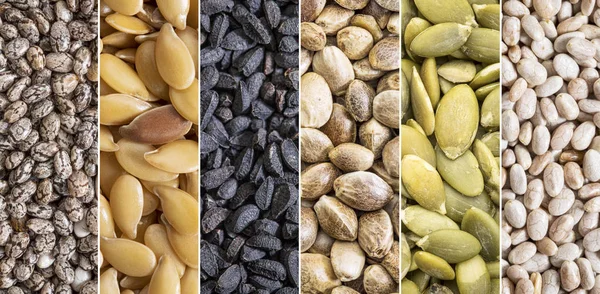 Healthy seeds collection — Stock Photo, Image