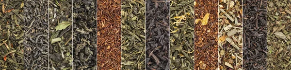 Variedad de banner de té negro, verde, rojo y herbal —  Fotos de Stock