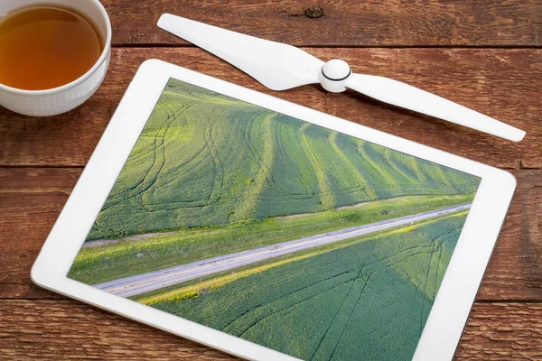 緑の大豆畑の空中風景 — ストック写真
