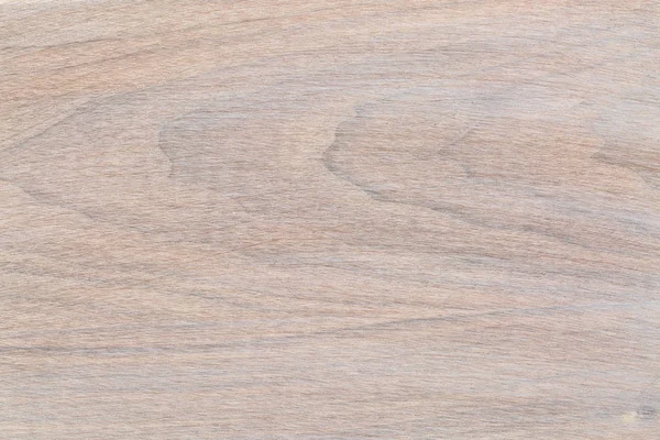 Textura de madera granulada delicada — Foto de Stock