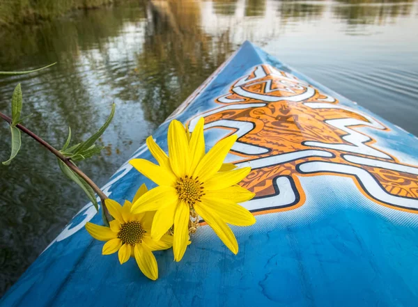 Fiocco da corsa stand up paddleboard di dritta — Foto Stock