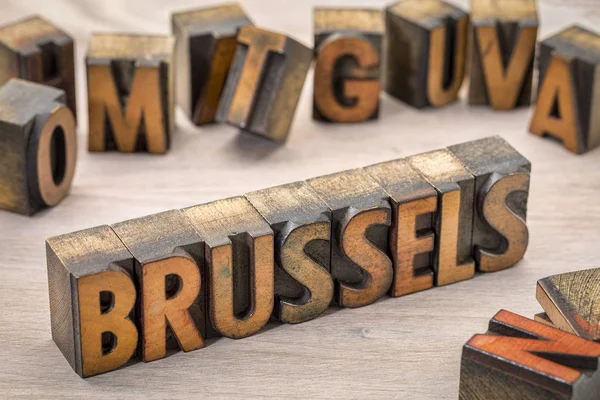 Brussels word abstract in wood type — Stock Photo, Image