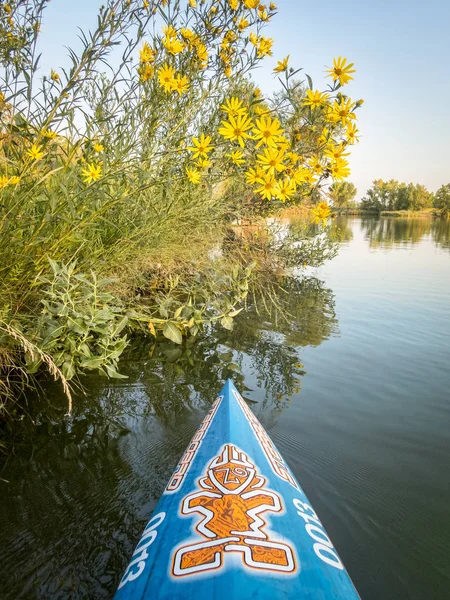 Stand Up Paddleboard mit Steuerbord — Stockfoto