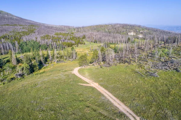 Sentier 4x4 et forêt après un incendie — Photo