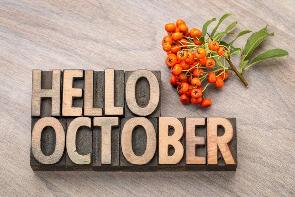 Hola octubre palabra tarjeta de felicitación —  Fotos de Stock