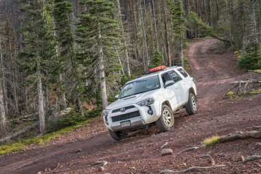 Toyota 4runner Hayden Pass yolda