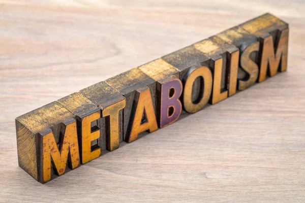 Metabolism word in vintage wood type — Stock Photo, Image