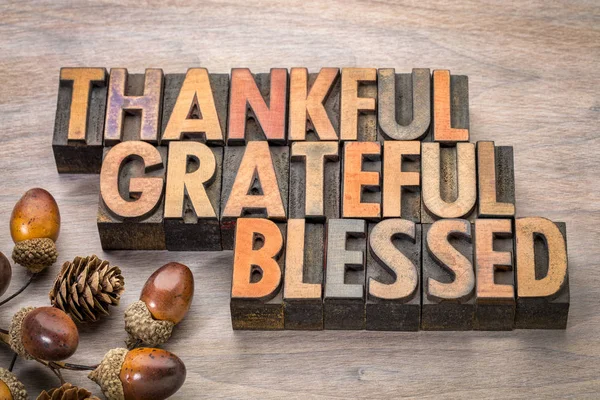 Thankful, grateful, blessed - Thanksgiving theme — Stock Photo, Image