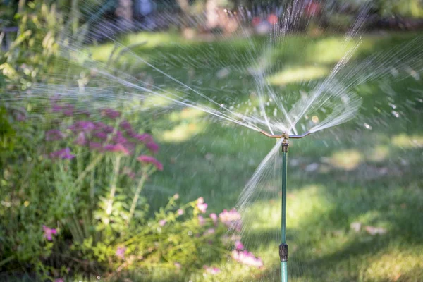 water sprinkler in flower garden