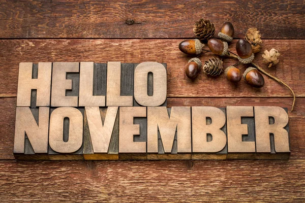 Hello November word abstrtact in wood type — Stock Photo, Image
