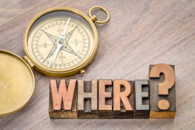 nerede ağaç türü soru