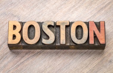 Boston sözcük soyut Tipo ağaç türü