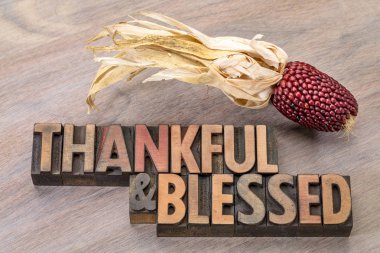 thankful and blessed - Thanksgiving theme clipart