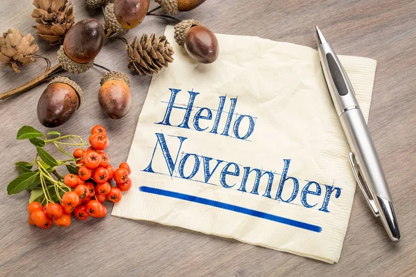 Hallo November auf Serviette — Stockfoto