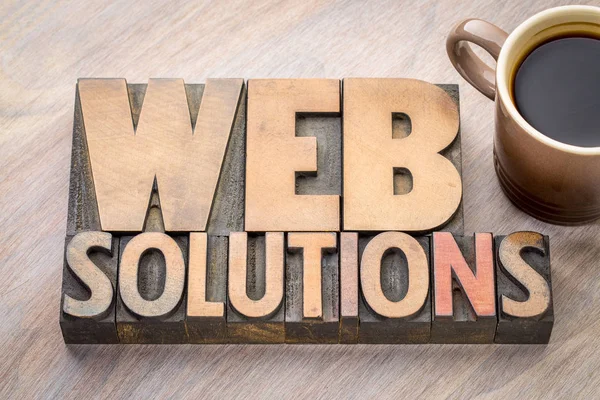 Web solutions word abstract in wood type — Stock Photo, Image