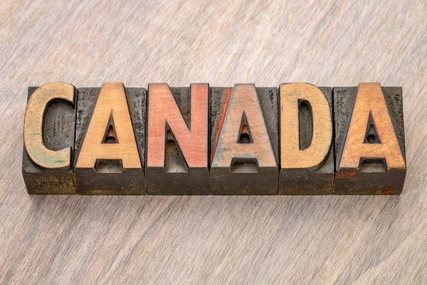 Канада - слово из дерева — стоковое фото
