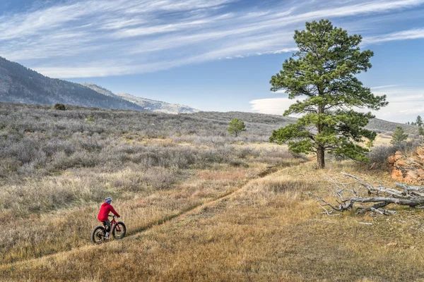 A kövér biciklizés Colorado lábainál — Stock Fotó