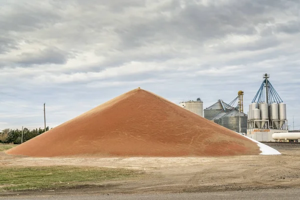 Kansas 'ta tahıl yığını — Stok fotoğraf