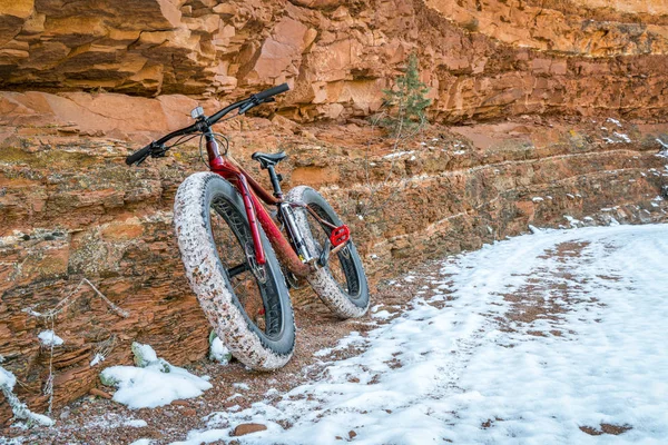 Bicicleta gorda en el sendero del cañón con nieve — Foto de Stock