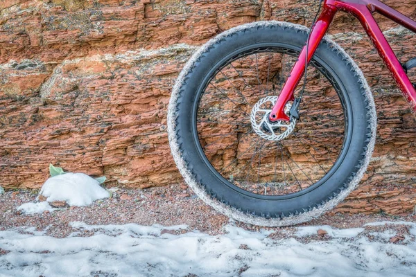 Rueda delantera de la bicicleta gorda en el sendero de invierno —  Fotos de Stock