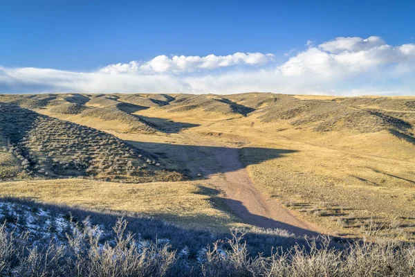 Tarde ventosa en el área natural de la pradera de Soapstone i — Foto de Stock