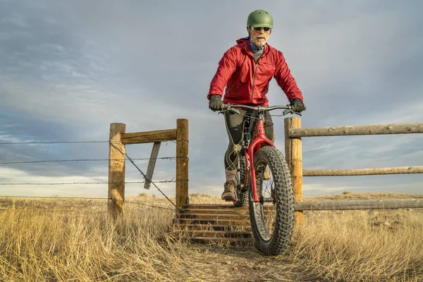 Їзда на гірському товстому велосипеді над охоронцем худоби — стокове фото