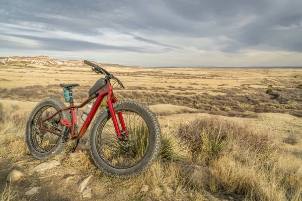 Şişman dağ bisikleti Kuzey Colorado bir iz üzerinde — Stok fotoğraf