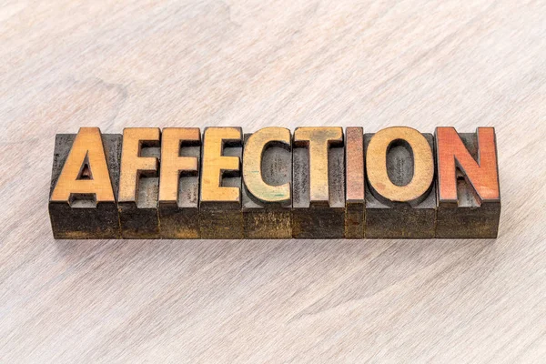 Affection word abstract in wood type — Stock Photo, Image