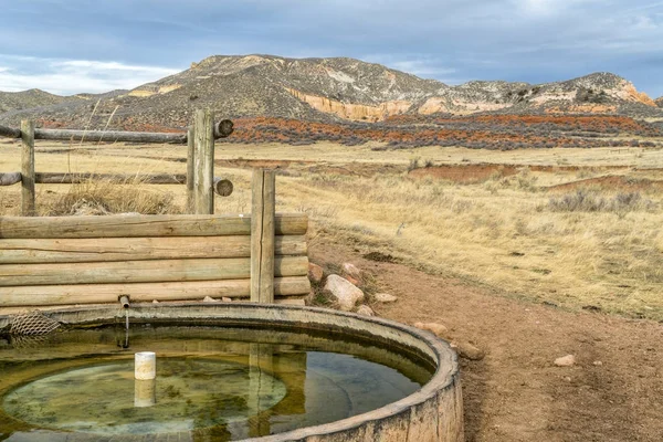 Sığır Colorado eteklerinde tank su — Stok fotoğraf
