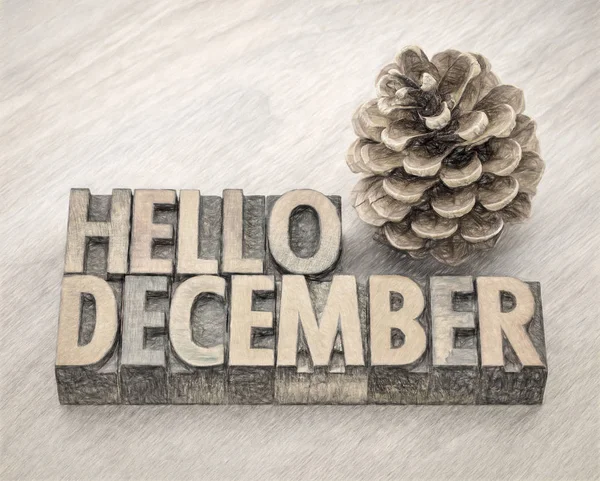 Hello December word abstract in wood type — Stock Photo, Image
