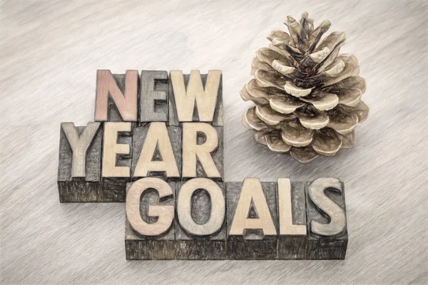 Objetivos de Ano Novo palavra abstrata em tipo de madeira — Fotografia de Stock