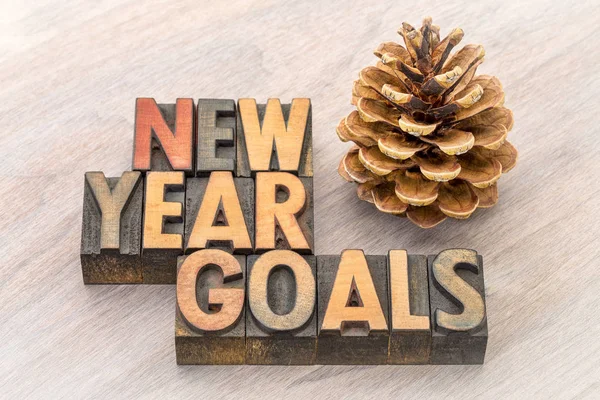 New Year goals word abstract in wood type — Stock Photo, Image