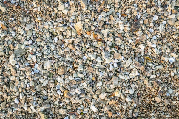 River shore background and texture — Stock Photo, Image