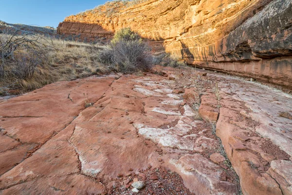 Slickrock at canyon bottom in Colorado — Stock Photo, Image